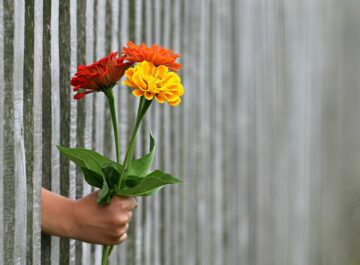 Bloemen als teken van dankbaarheid